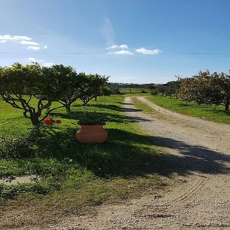 Quinta Da Alfarrobeira - Vale Parra - Guia *