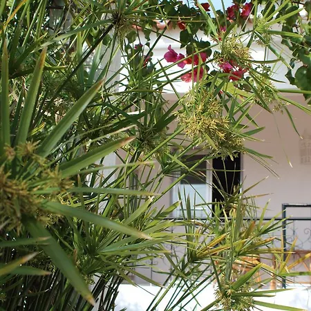 Quinta Da Alfarrobeira - Vale Parra - Guia Séjour à la campagne