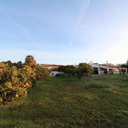 Séjour à la campagne Quinta Da Alfarrobeira - Vale Parra - Guia *