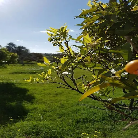 Quinta Da Alfarrobeira - Vale Parra - Guia Séjour à la campagne Albufeira