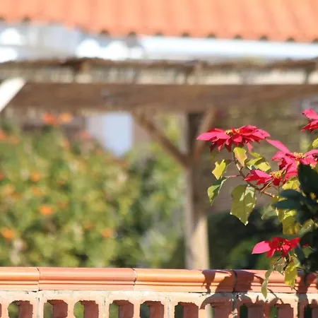 Quinta Da Alfarrobeira - Vale Parra - Guia Séjour à la campagne